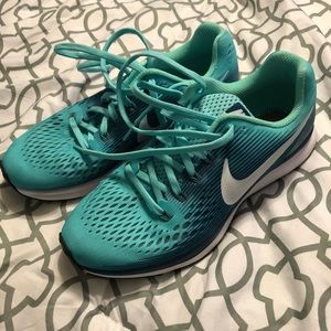 autumn calabrese nike pegasus